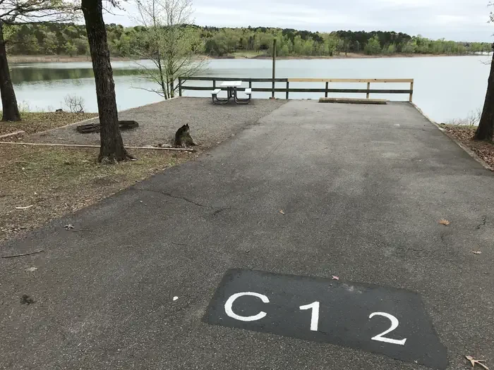 C12