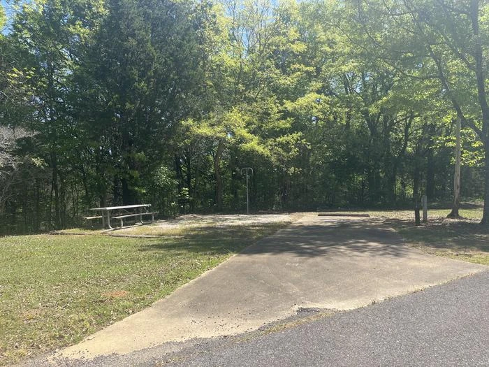 Site 10