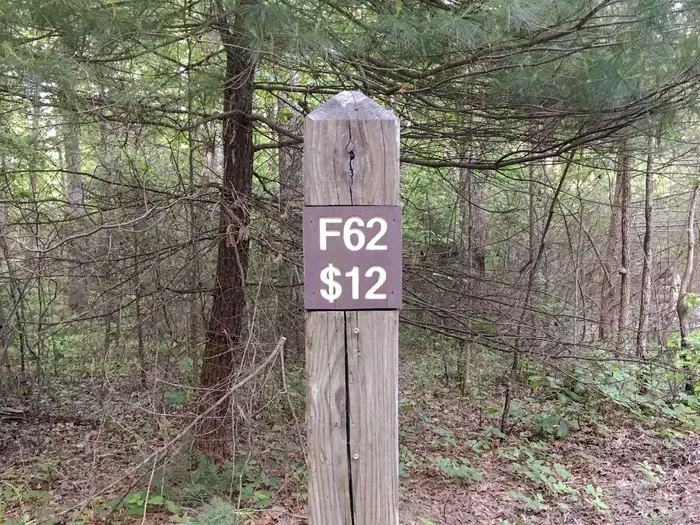 62