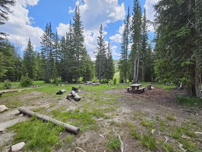 006