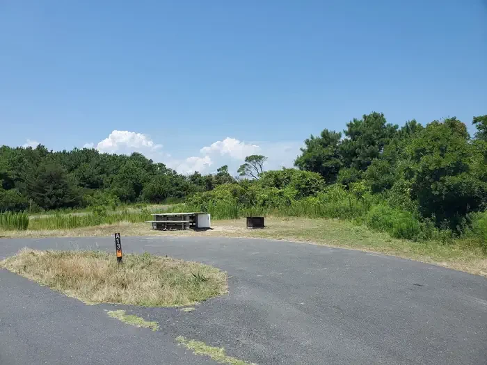 A13