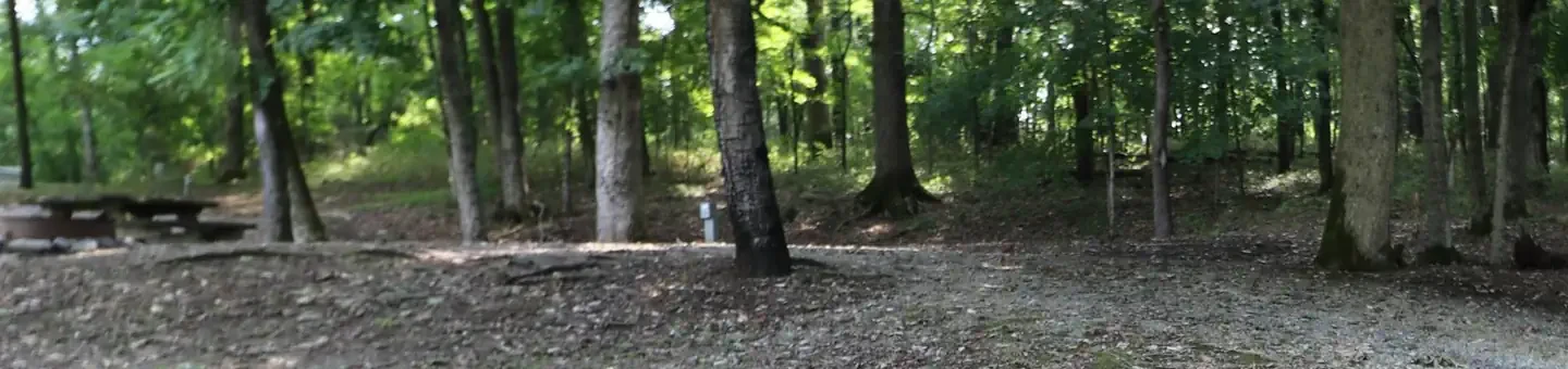 148