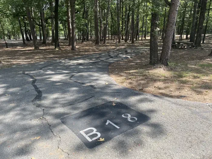 B18