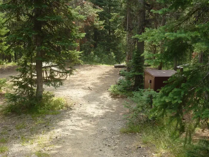 Lewis Lake site #69