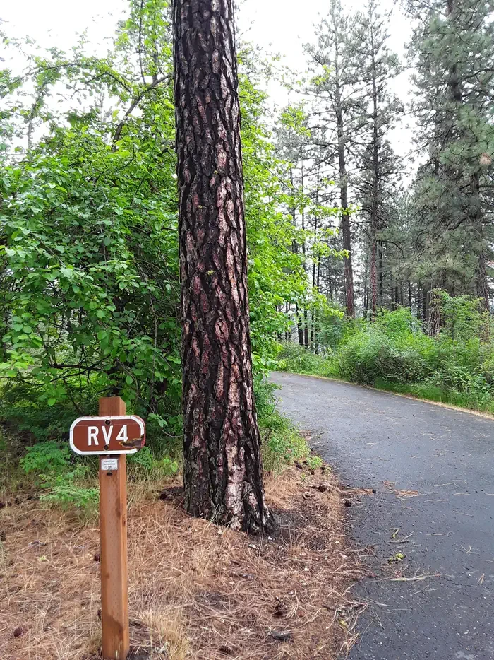 Sloway Campground (MT)
