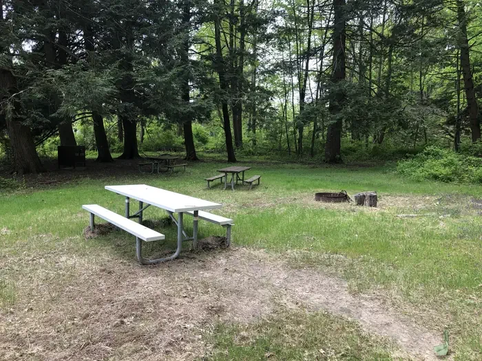 Site #5
