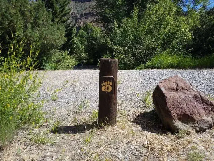 38