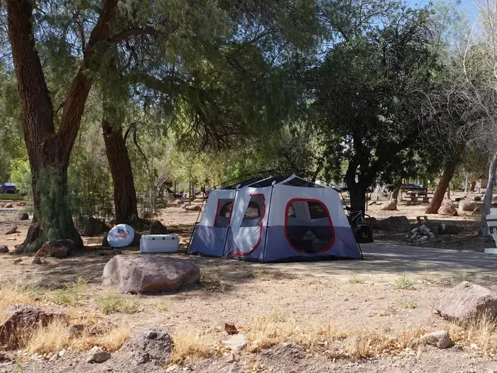 Site 91