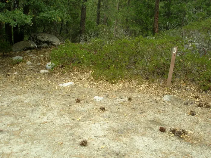 Site D