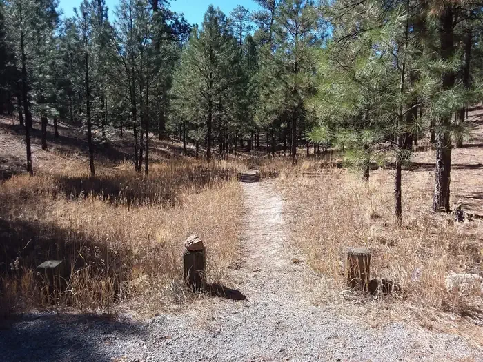 Jemez Falls Campground