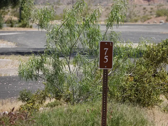 Site 75