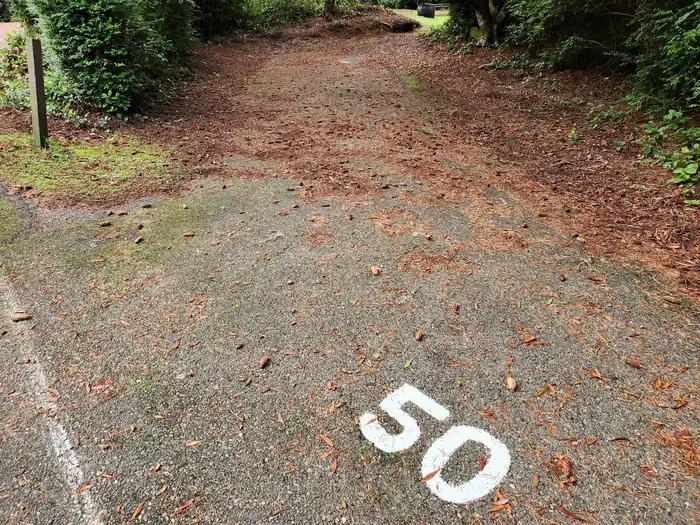 050
