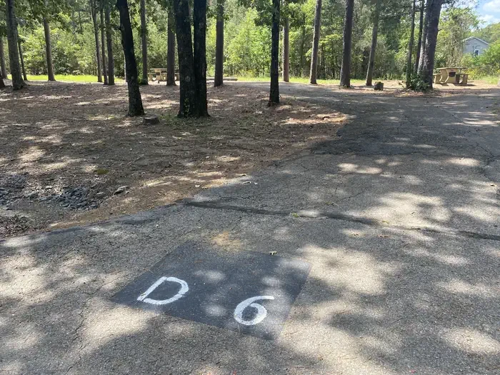 D06