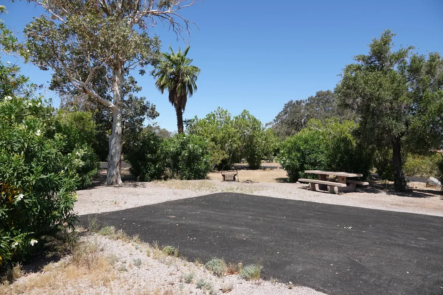 Site 23