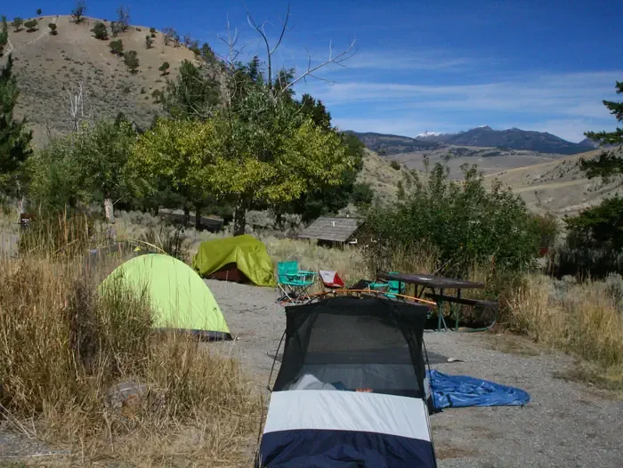 Mammoth site #81
