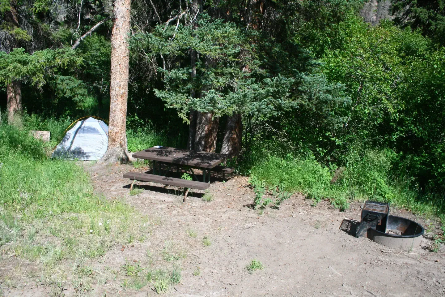 Slough Creek site #9