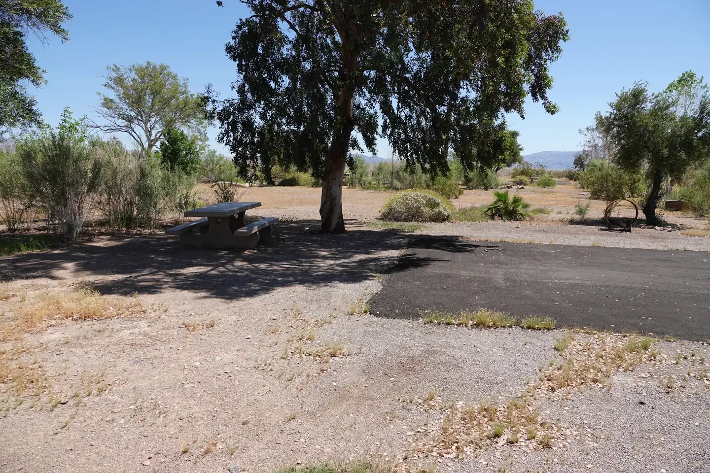 Site 5