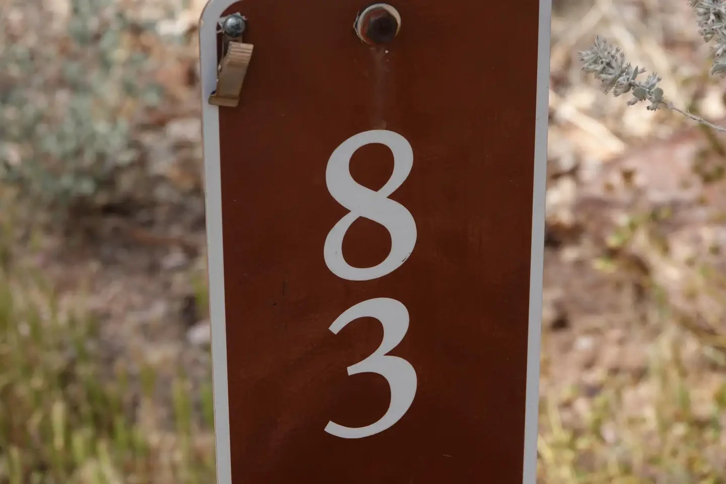 Site 83