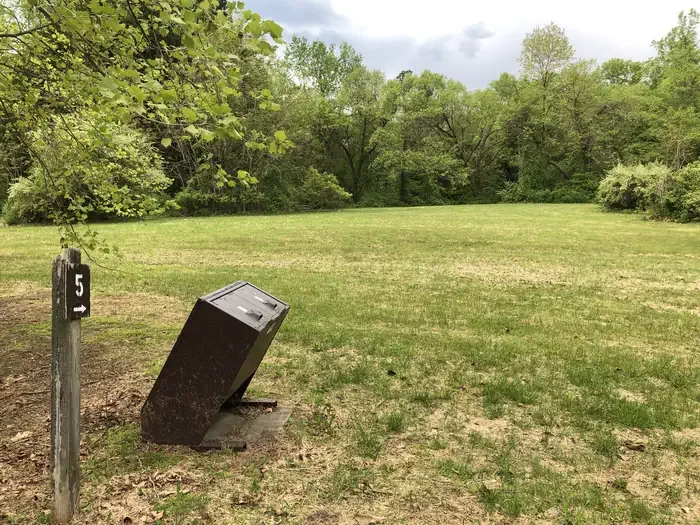 Site #5