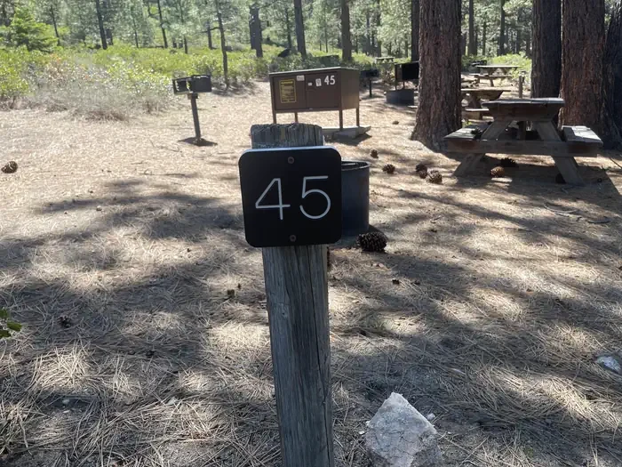 45