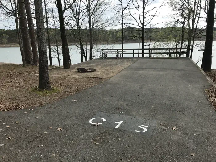C15
