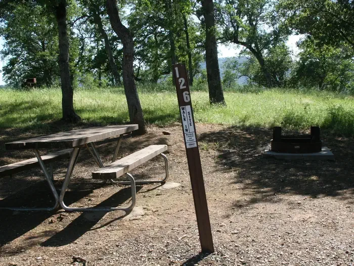 126