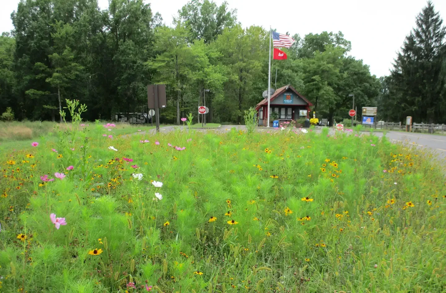 Mill Creek Camping (Berlin Lake)