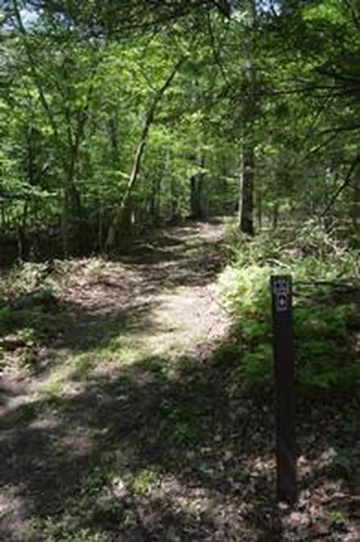 Alosa Campsites