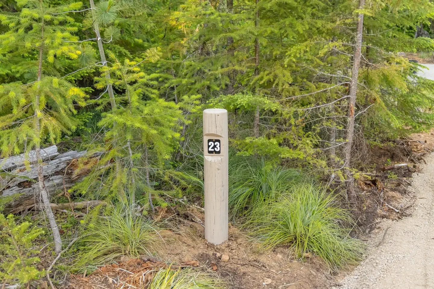 23
