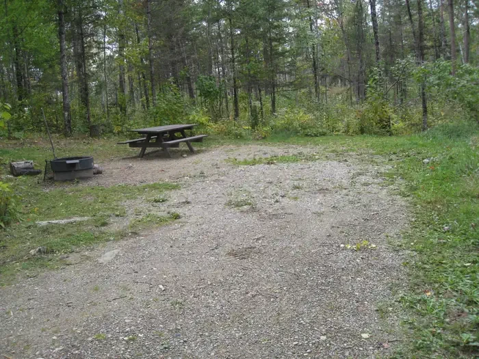 009