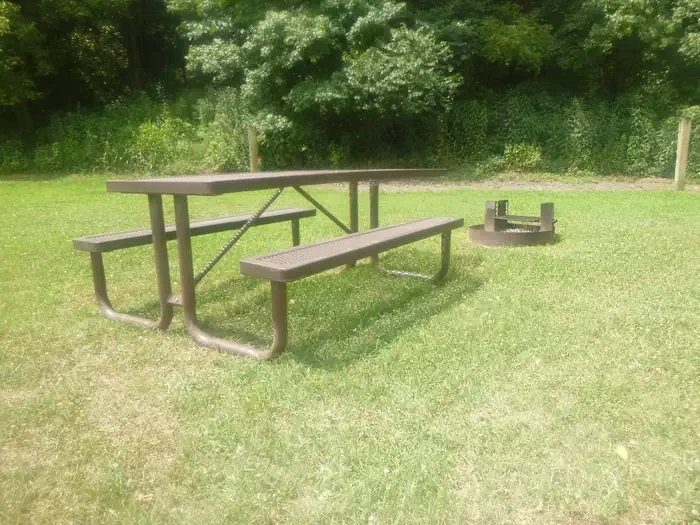 31 - Horse Site