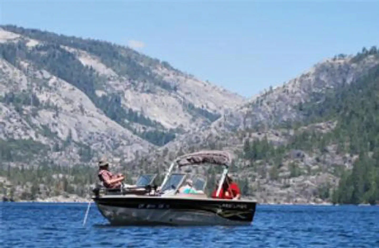 Pinecrest