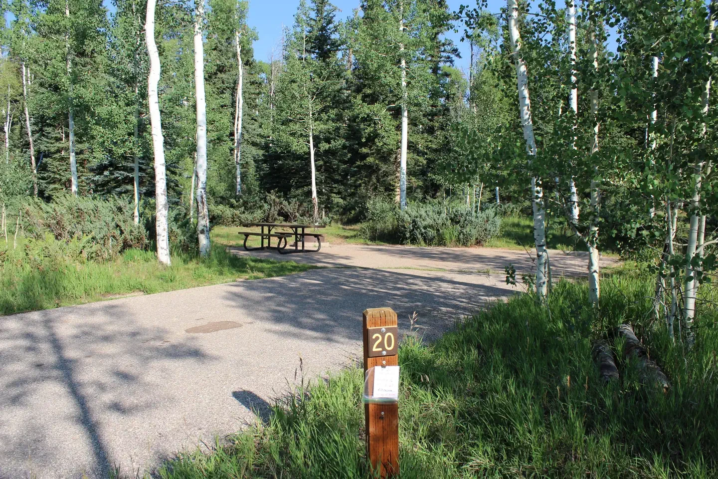 Duck Creek