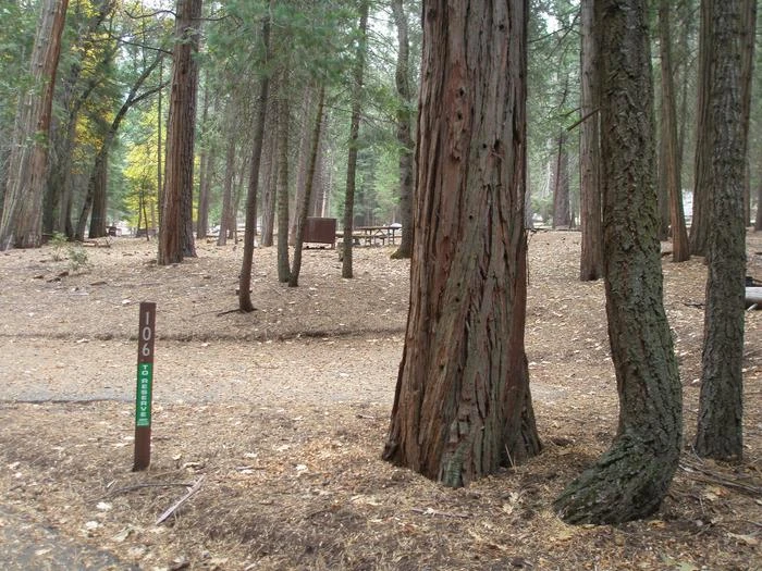 Site: 106
