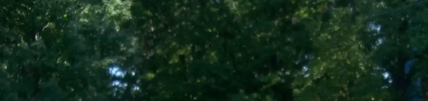 A093
