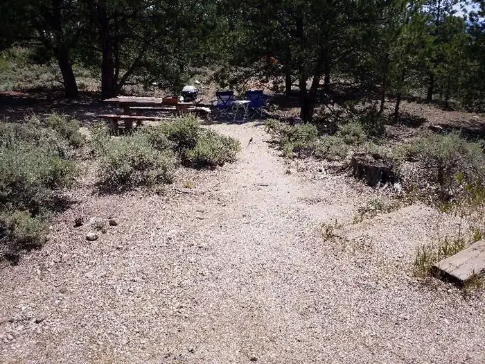 E013