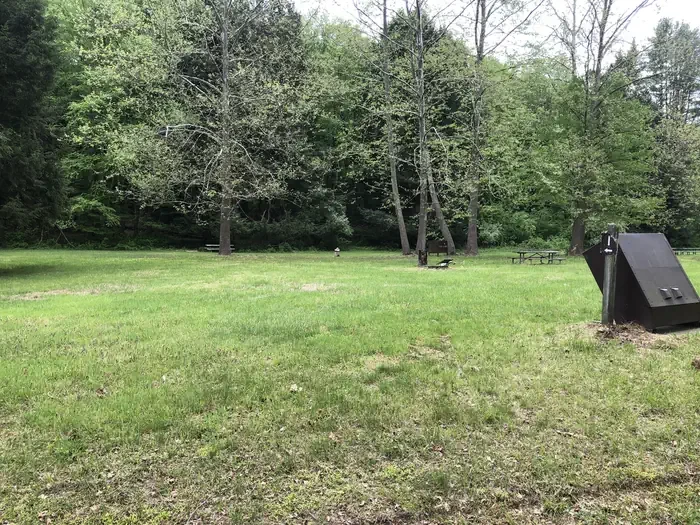 Site #1