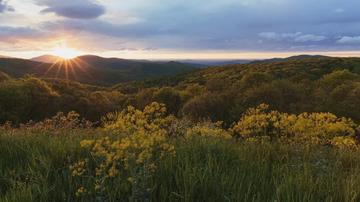 Shenandoah National Park Backcountry Permits