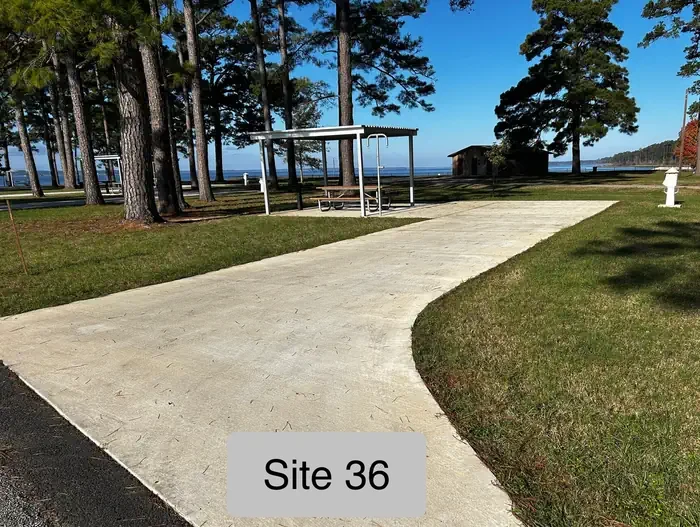 36
