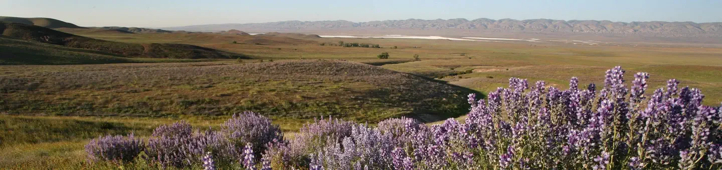 Carrizo Plain National Monument Tours