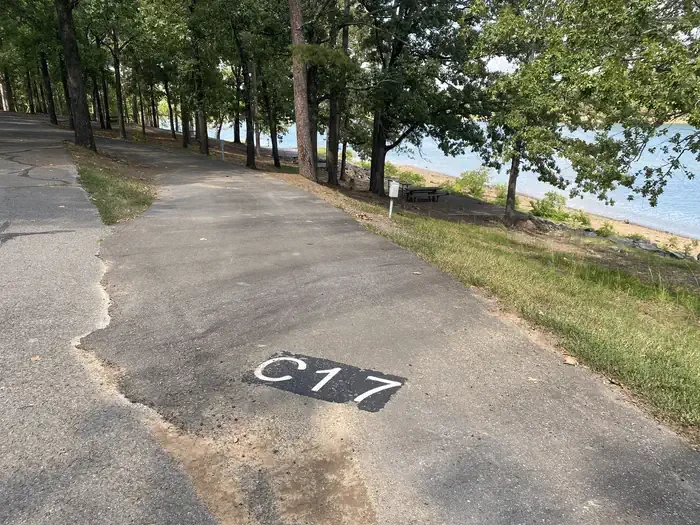 C17