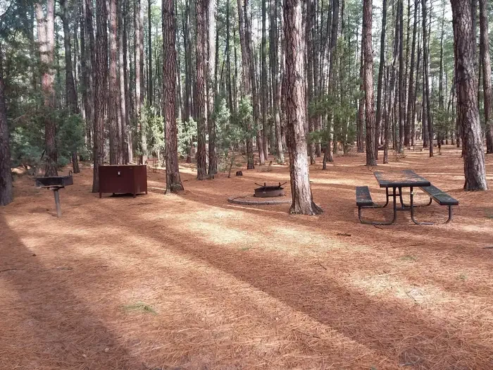 C-05