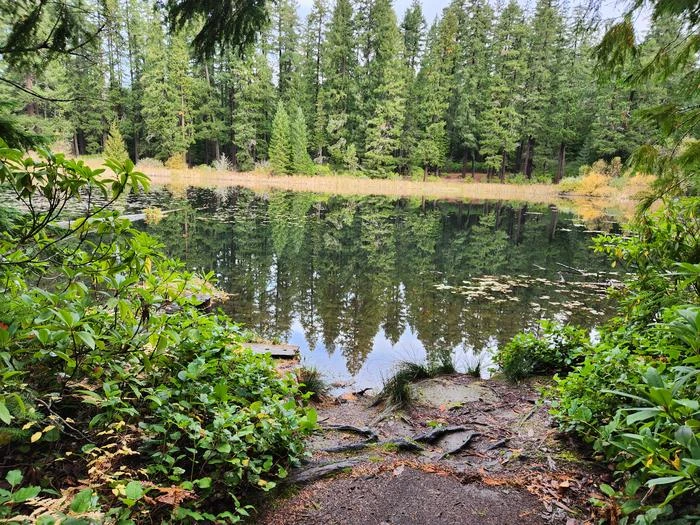 Lake In The Woods Campground