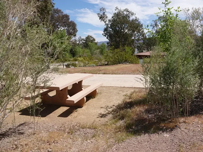 Site 6