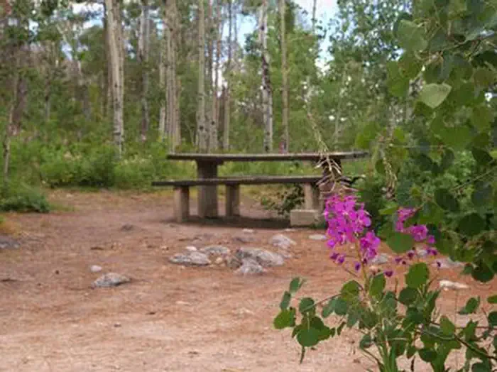 Narrows Campground