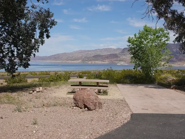 Site 81