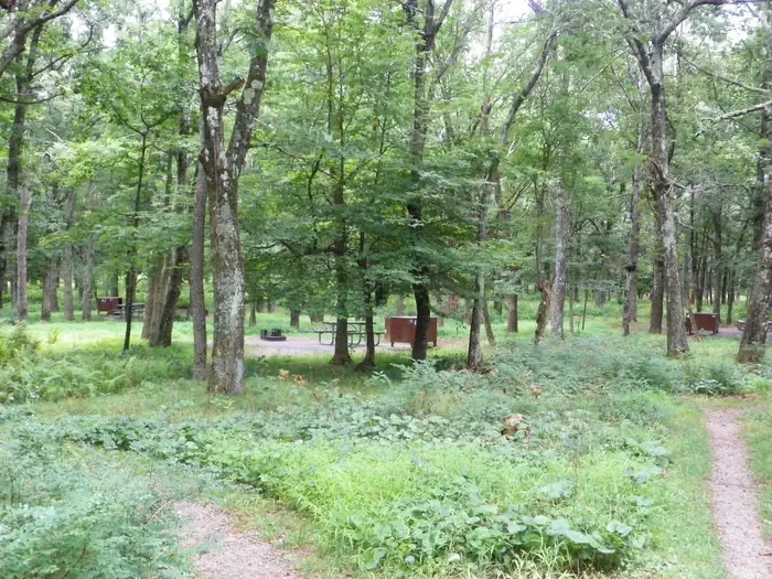 Big Meadows Campground - Shenandoah (VA)