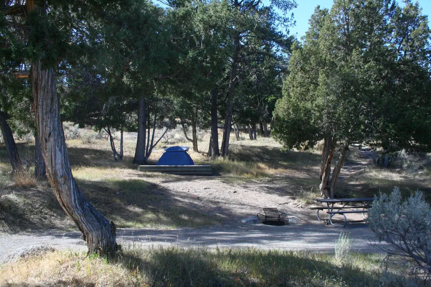 Mammoth site #72