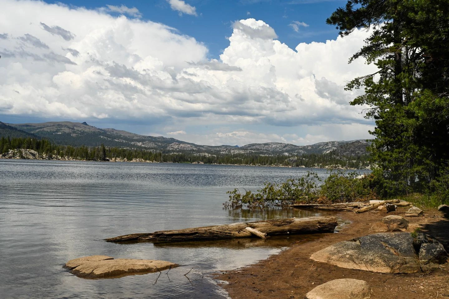 Union West - Union Reservoir (Stanislaus NF)