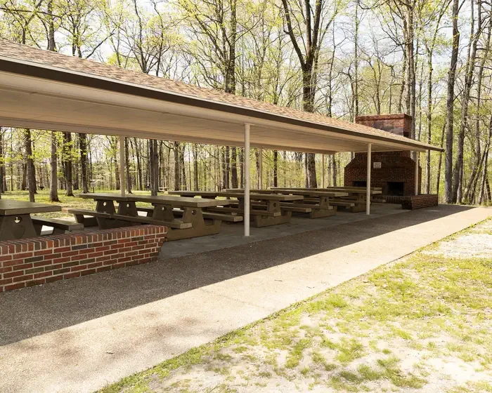 Mammoth Picnic Shelters